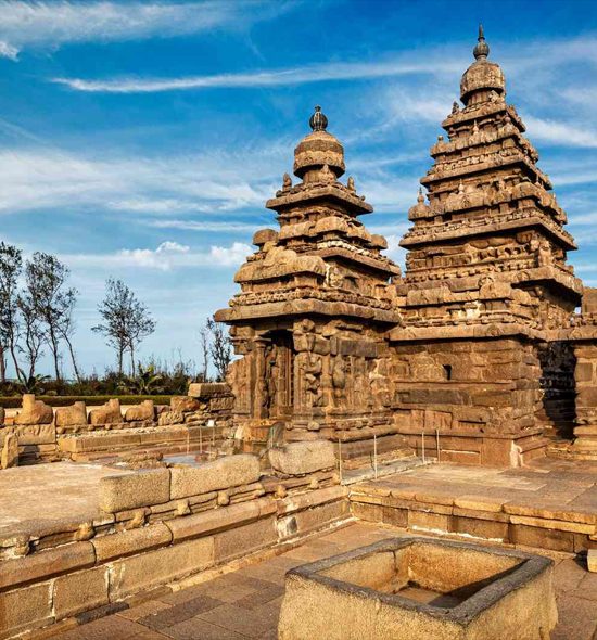 Cultural Tours