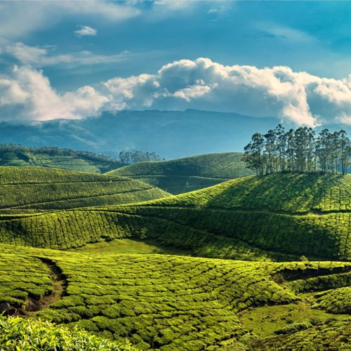 Southern Spectacular Package (13 days & 12 Nights) Plan-3