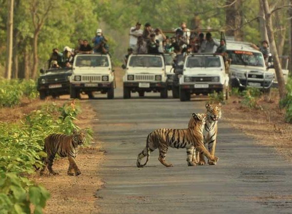 Bannerghatta Biological Park