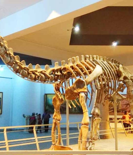 birla science museum