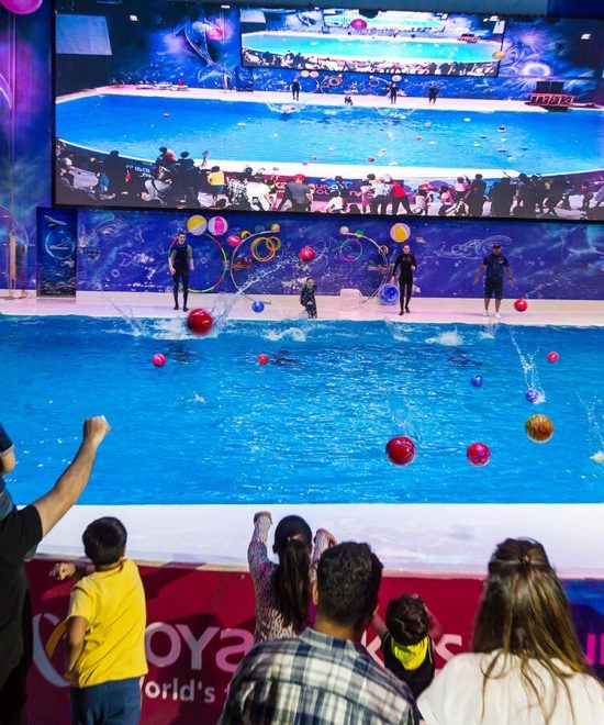 dubai dolphinarium