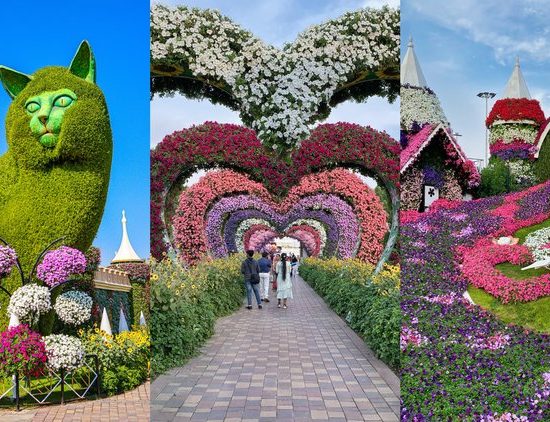 dubai miracle garden
