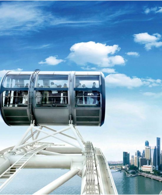 Singapore flyer