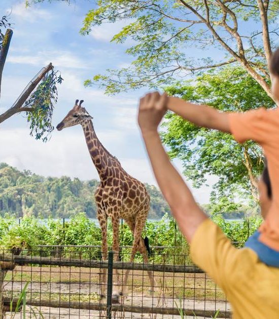 singapore zoo