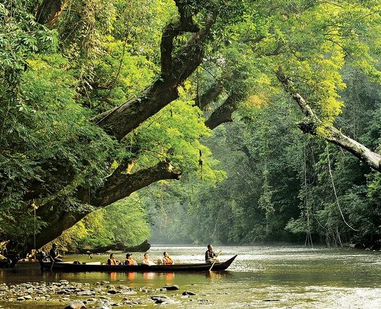 taman negara