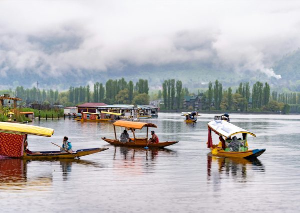 kashmir