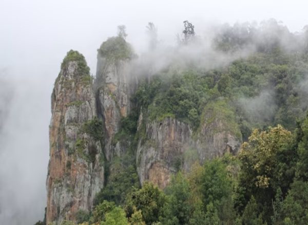 kodaikanal