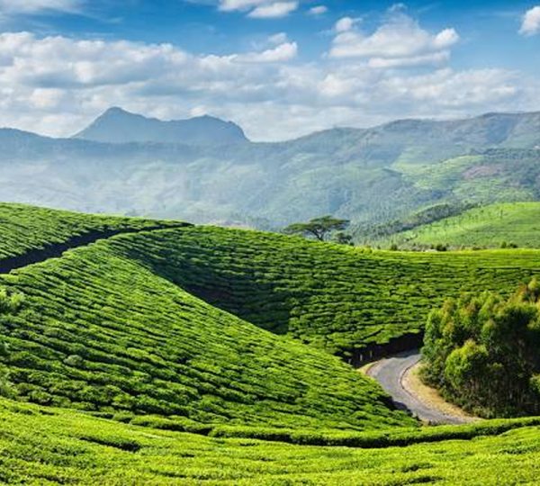 Munnar